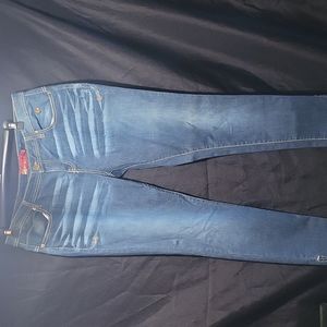 Apple  Bottoms size 16